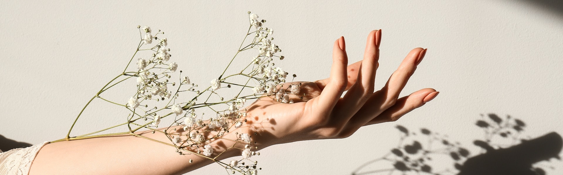 Female hand with white flowers on light background